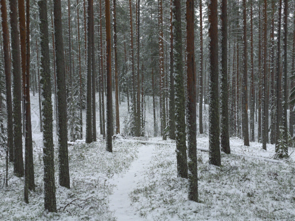 Lykynlampi